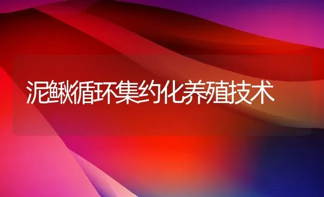 泥鳅循环集约化养殖技术 | 动物养殖百科