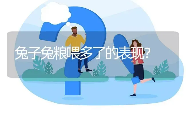 兔子兔粮喂多了的表现？ | 动物养殖问答