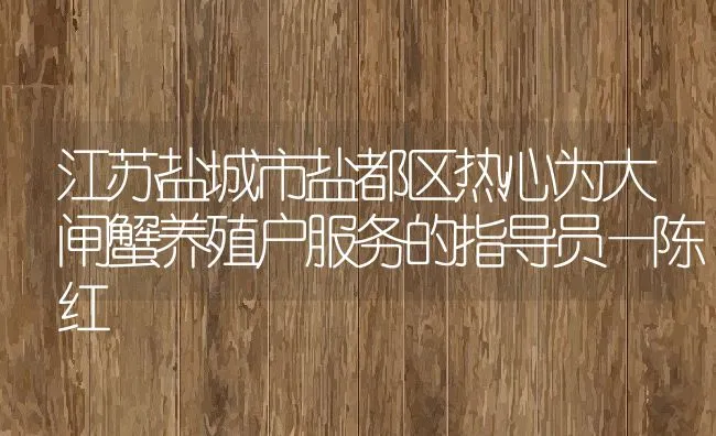 江苏盐城市盐都区热心为大闸蟹养殖户服务的指导员—陈红 | 动物养殖饲料