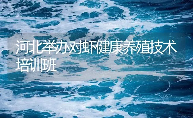 河北举办对虾健康养殖技术培训班 | 海水养殖技术