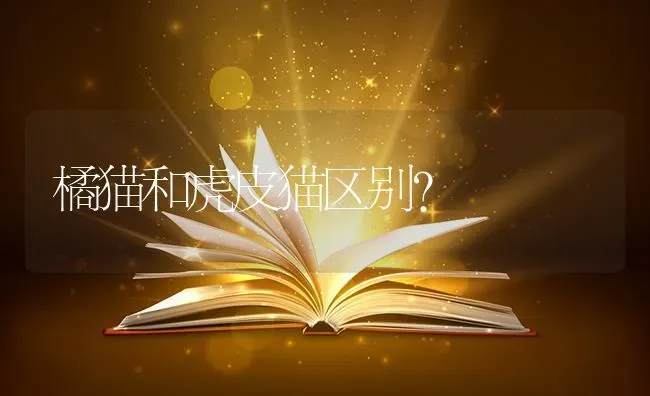 世界上最丑最大的狗狗？ | 动物养殖问答