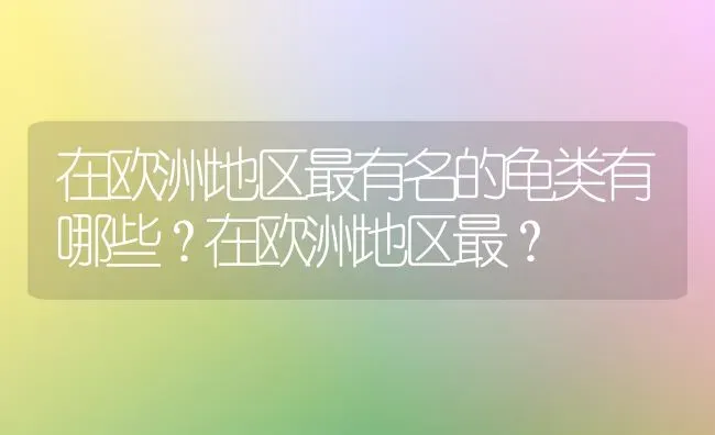 在欧洲地区最有名的龟类有哪些？在欧洲地区最？ | 动物养殖问答