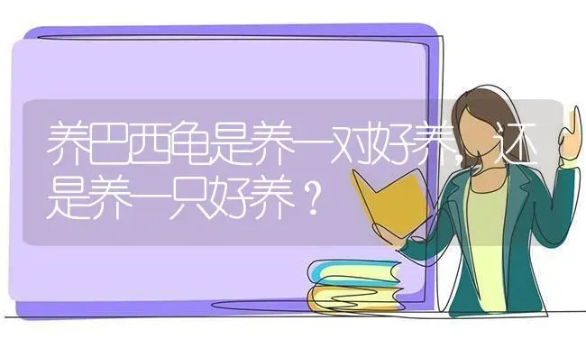 如何让一只发情期的小母猫舒服点，在线等？ | 动物养殖问答