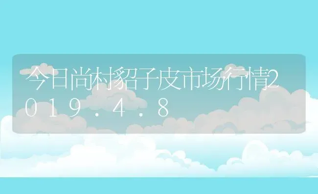 今日尚村貂子皮市场行情2019.4.8 | 动物养殖百科