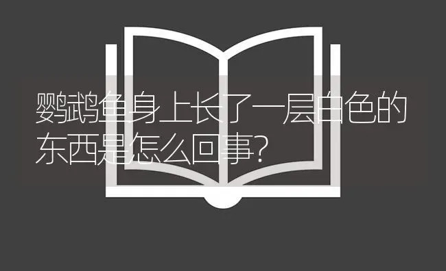 鹦鹉鱼身上长了一层白色的东西是怎么回事？ | 鱼类宠物饲养