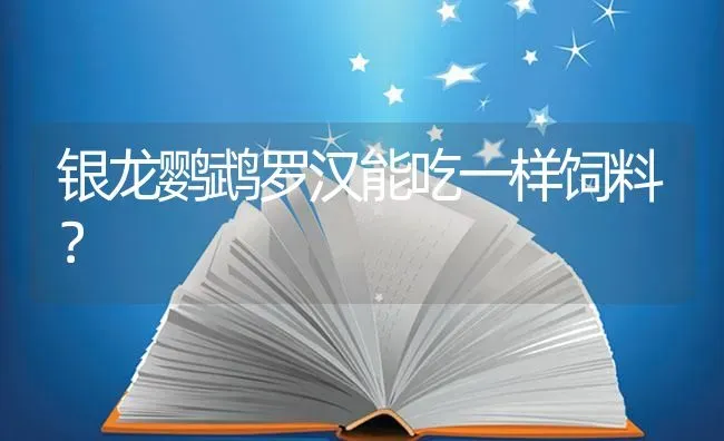 银龙鹦鹉罗汉能吃一样饲料？ | 鱼类宠物饲养