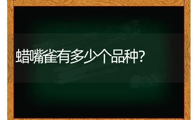 蜡嘴雀有多少个品种？ | 动物养殖问答