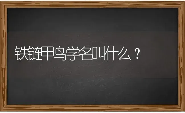 铁链甲鸟学名叫什么？ | 动物养殖问答