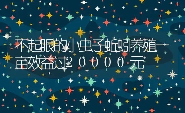 不起眼的小虫子蚯蚓养殖一亩效益过20000元 | 动物养殖百科