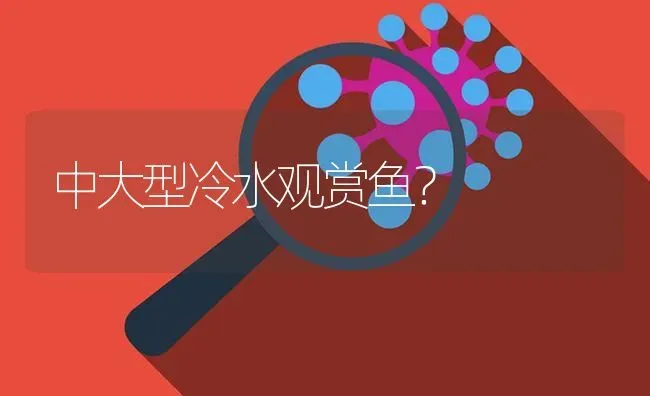 中大型冷水观赏鱼？ | 鱼类宠物饲养