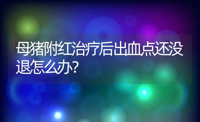 母猪附红治疗后出血点还没退怎么办？ | 动物养殖饲料