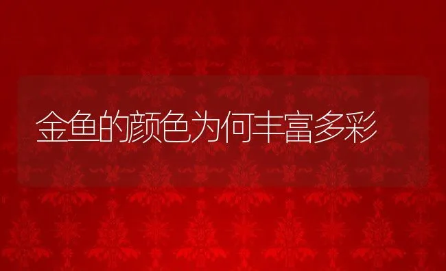 金鱼的颜色为何丰富多彩 | 动物养殖饲料