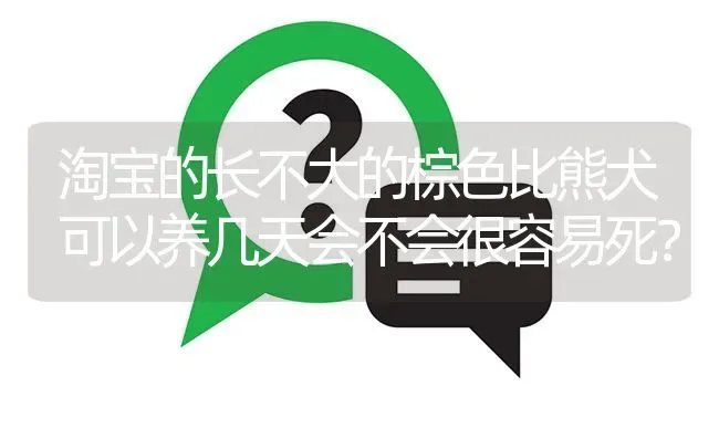 淘宝的长不大的棕色比熊犬可以养几天会不会很容易死？ | 动物养殖问答