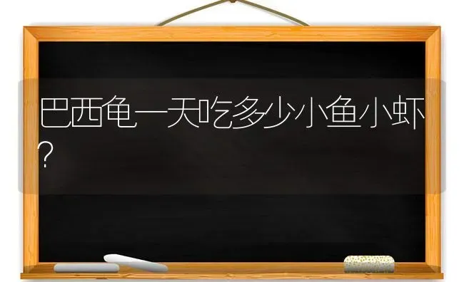 巴西龟一天吃多少小鱼小虾？ | 动物养殖问答