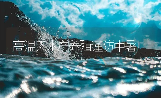 高温天水产养殖谨防中暑 | 海水养殖技术