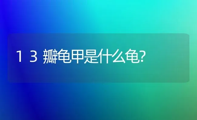 人为什么喜欢养猫不养老鼠？ | 动物养殖问答