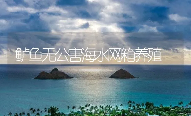 鲈鱼无公害海水网箱养殖 | 海水养殖技术