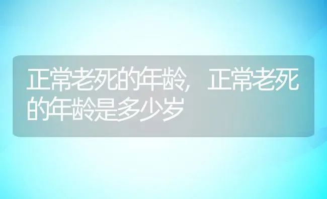 正常老死的年龄,正常老死的年龄是多少岁 | 宠物百科知识