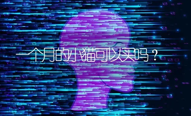 一个月的小猫可以买吗？ | 动物养殖问答