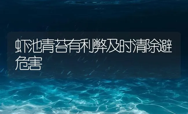 虾池青苔有利弊及时清除避危害 | 海水养殖技术