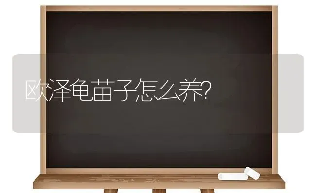 欧泽龟苗子怎么养？ | 动物养殖问答