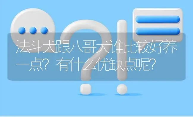 法斗犬跟八哥犬谁比较好养一点？有什么优缺点呢？ | 动物养殖问答