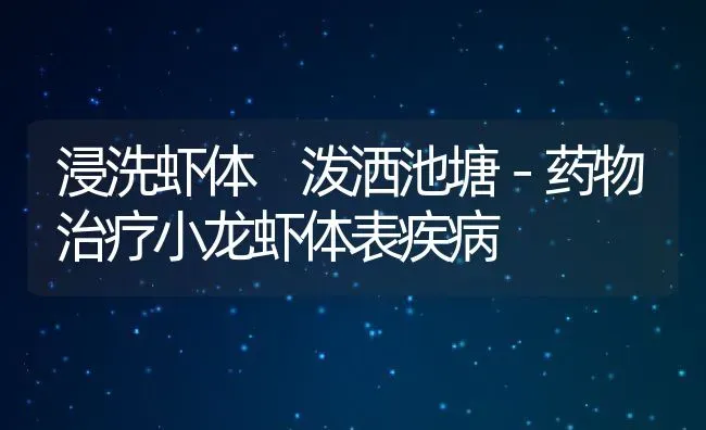 浸洗虾体　泼洒池塘－药物治疗小龙虾体表疾病 | 动物养殖教程