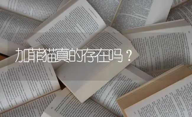 加菲猫真的存在吗？ | 动物养殖问答