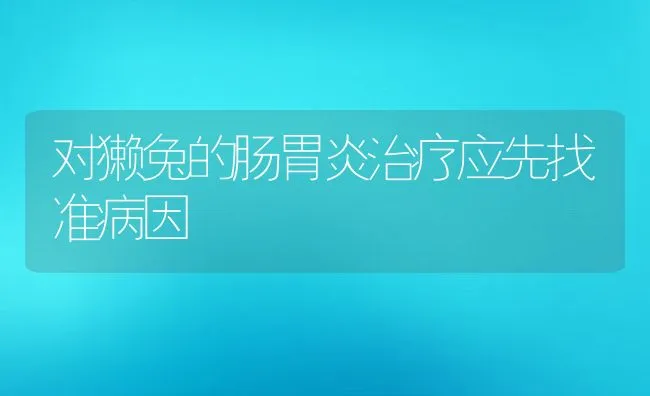 对獭兔的肠胃炎治疗应先找准病因 | 动物养殖学堂