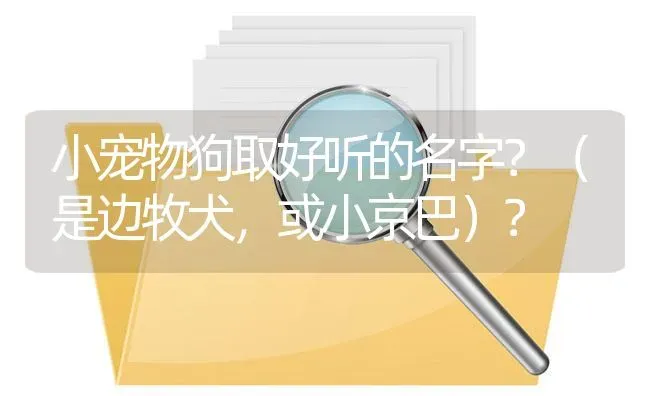 小宠物狗取好听的名字？（是边牧犬，或小京巴）？ | 动物养殖问答