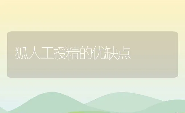 狐人工授精的优缺点 | 动物养殖学堂