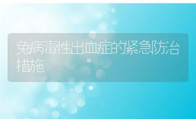 兔病毒性出血症的紧急防治措施 | 水产养殖知识