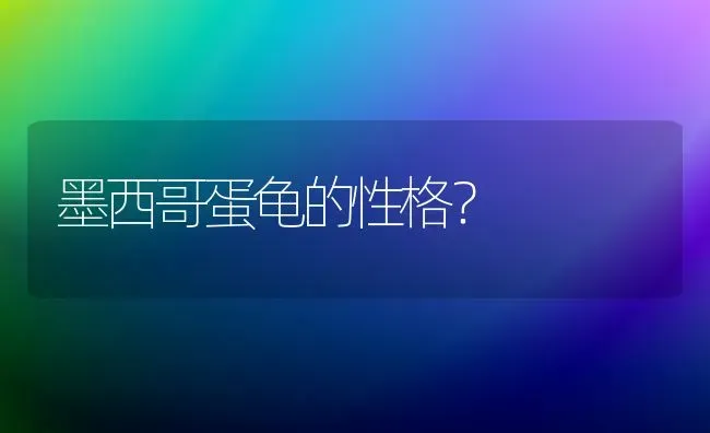 墨西哥蛋龟的性格？ | 动物养殖问答