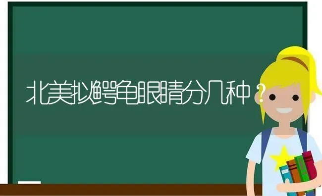 北美拟鳄龟眼睛分几种？ | 动物养殖问答