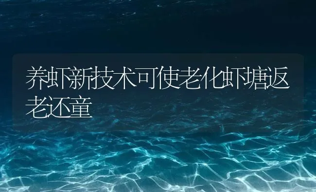 养虾新技术可使老化虾塘返老还童 | 海水养殖技术