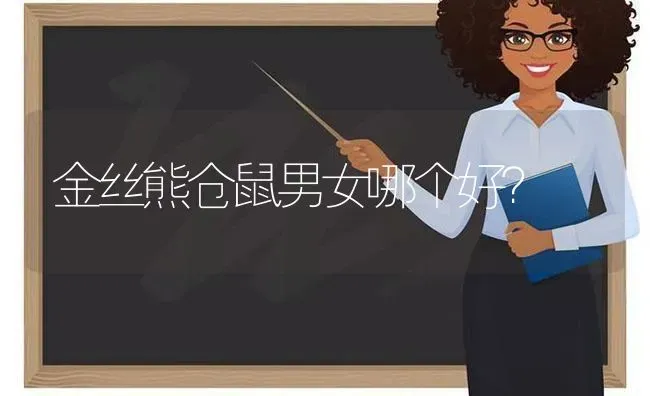 金丝熊仓鼠男女哪个好？ | 动物养殖问答
