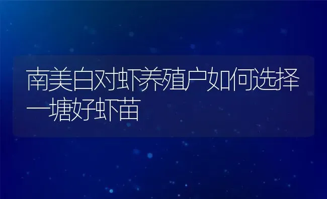 南美白对虾养殖户如何选择一塘好虾苗 | 动物养殖百科