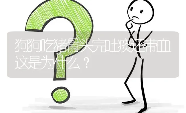 狗狗吃猪骨头完吐痰还带血这是为什么？ | 动物养殖问答