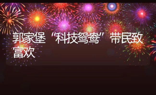 郭家堡“科技鸳鸯”带民致富欢 | 动物养殖饲料