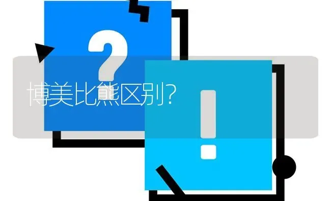 博美比熊区别？ | 动物养殖问答