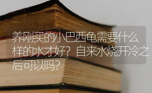 养刚买的小巴西龟需要什么样的水才好？自来水烧开冷之后可以吗？ | 动物养殖问答