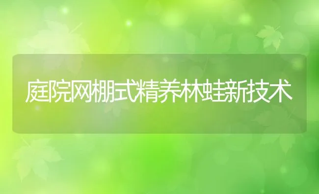 庭院网棚式精养林蛙新技术 | 动物养殖饲料