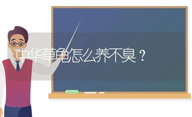 东德几个月大可以看门？ | 动物养殖问答