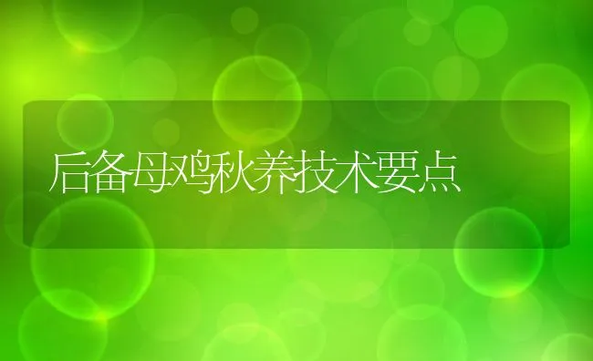 后备母鸡秋养技术要点 | 动物养殖学堂