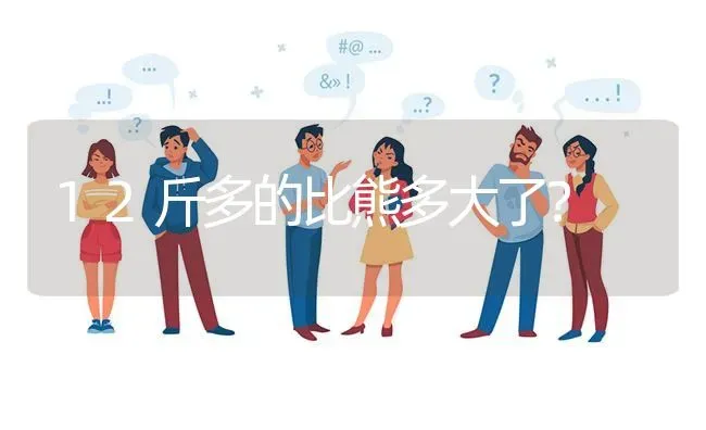 12斤多的比熊多大了？ | 动物养殖问答