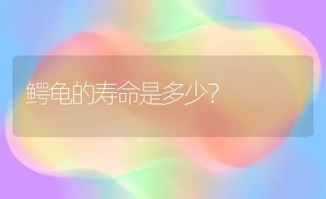 鳄龟的寿命是多少？ | 动物养殖问答