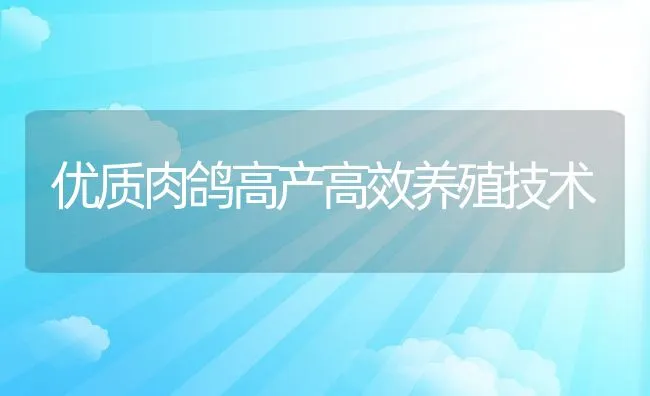 优质肉鸽高产高效养殖技术 | 水产养殖知识