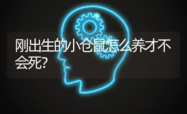 刚出生的小仓鼠怎么养才不会死？ | 动物养殖问答