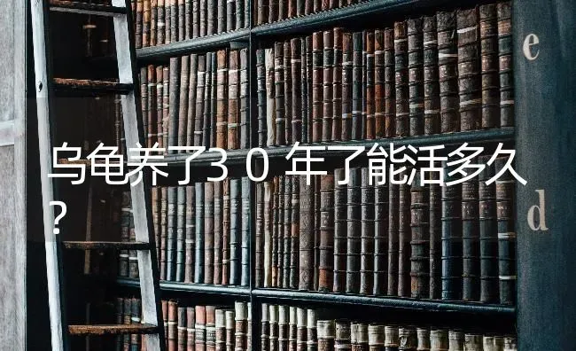 乌龟养了30年了能活多久？ | 动物养殖问答