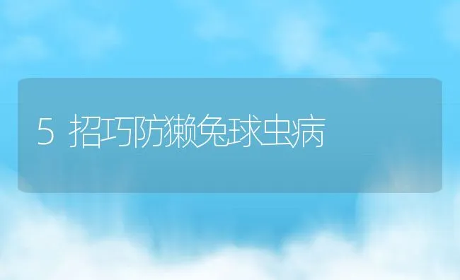 5招巧防獭兔球虫病 | 动物养殖学堂